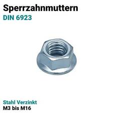 Sperrzahnmutter flanschmutter  gebraucht kaufen  Hoppstädten-Weiersbach