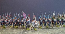 28mm napoleonic polish for sale  STOKE-ON-TRENT