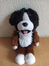 Hund levi wuschel gebraucht kaufen  Duisburg