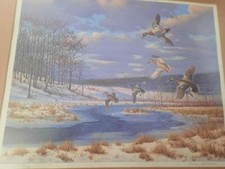 Art print signed for sale  Saint Petersburg