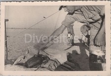 Foto afrikakorps griff gebraucht kaufen  Leipzig