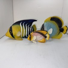 room fish for sale room fish for sale Van