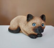 Sandicast siamese kitty for sale  Rock Falls