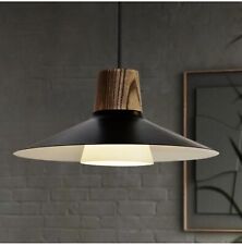 Kitchen pendant lighting for sale  Winter Haven