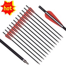 Inch crossbow bolts for sale  DUNSTABLE