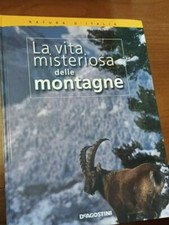 Vita misteriosa delle usato  Castelfranco Emilia