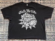 Camiseta Vintage Anos 2000 Cold As Life Terror Zone 313 3XL Detroit Hardcore CTYC comprar usado  Enviando para Brazil