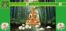 Lotus sterne thaimassage gebraucht kaufen  Düsseldorf
