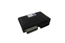 Centralina elettronica triumph usato  Italia