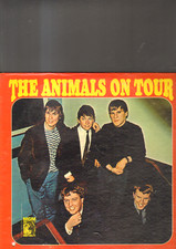 The animals the usato  Torino