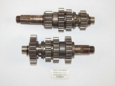 Oem 1970 cz250 for sale  Pompano Beach