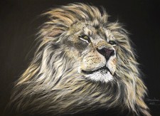 Lion portrait original for sale  LONDON