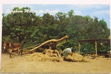 sorghum for sale sorghum for sale Wilmington