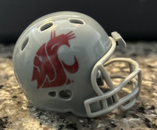 Washington state cougars for sale  Evans City