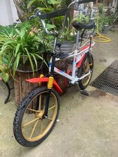 Bicicletta chiorda safari usato  Roma