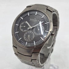 Relógio masculino Skagen 596XLTXM titânio - Nova bateria comprar usado  Enviando para Brazil