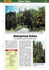 Naturgetreue fichten gestalten gebraucht kaufen  Berlin