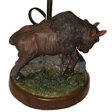Western plains bison for sale  Winamac