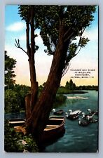 Postcard vintage thunder for sale  Findlay
