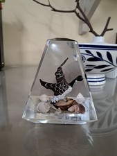 Glass paperweight sea for sale  NEWTOWNABBEY
