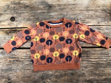 Unisex sweatshirt pulli gebraucht kaufen  Schliengen