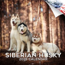 Siberian husky dog for sale  Traverse City