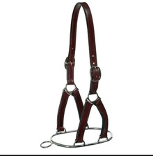 Stallion ring horse for sale  WINDSOR