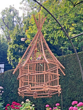 Vogelkäfig vögel astbaum gebraucht kaufen  Bonn