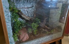 Terrario per rettili usato  Turrivalignani