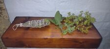 Sage lady mantle for sale  NOTTINGHAM