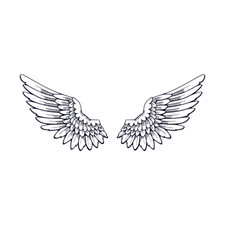 Set bird wings for sale  HARROW