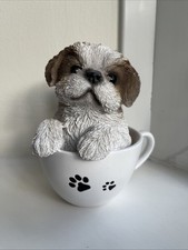 Teacup shih tzu for sale  BASINGSTOKE