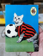 Cartolina gatto milan usato  Forio