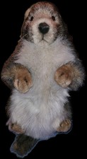Peluche marmotte réaliste d'occasion  Épinay-sur-Orge