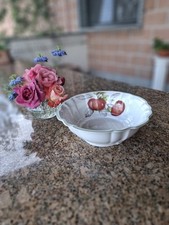 Insalatiera cm. villeroy usato  Saluggia