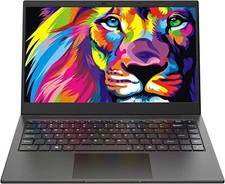 Zoll laptop intel gebraucht kaufen  Röthenbach a.d.Pegnitz