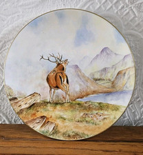 Wedgwood prestige plate. for sale  STOKE-ON-TRENT