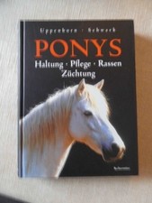 Ponys haltung pflege gebraucht kaufen  Eggenstein-Leopoldshafen