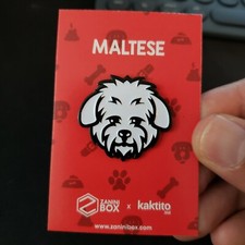 Maltese dog breed for sale  Greer