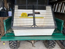 lintran dog for sale  CREDITON