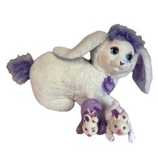 Bunny surprise babies for sale  Lindstrom