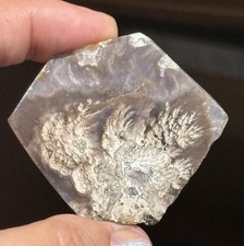 15.8g 55x48x3.6mm flower for sale  Skokie