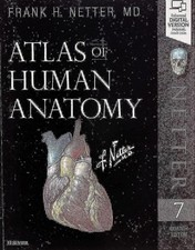 Atlas of Human Anatomy (Netter Basic Science) comprar usado  Enviando para Brazil