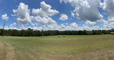 Fine pasture grass for sale  Terry