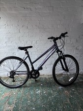 Tiger women mountain for sale  KETTERING