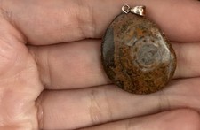 Fossil necklace pendent for sale  LEIGH-ON-SEA