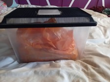 Goldfish tank plants for sale  STOKE-ON-TRENT