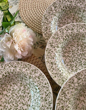Assiettes creuses anglaises d'occasion  France
