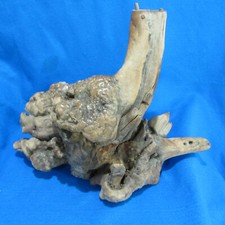 Burl turning blank for sale  Chula Vista