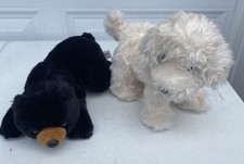 Aurora black bear for sale  Rolesville